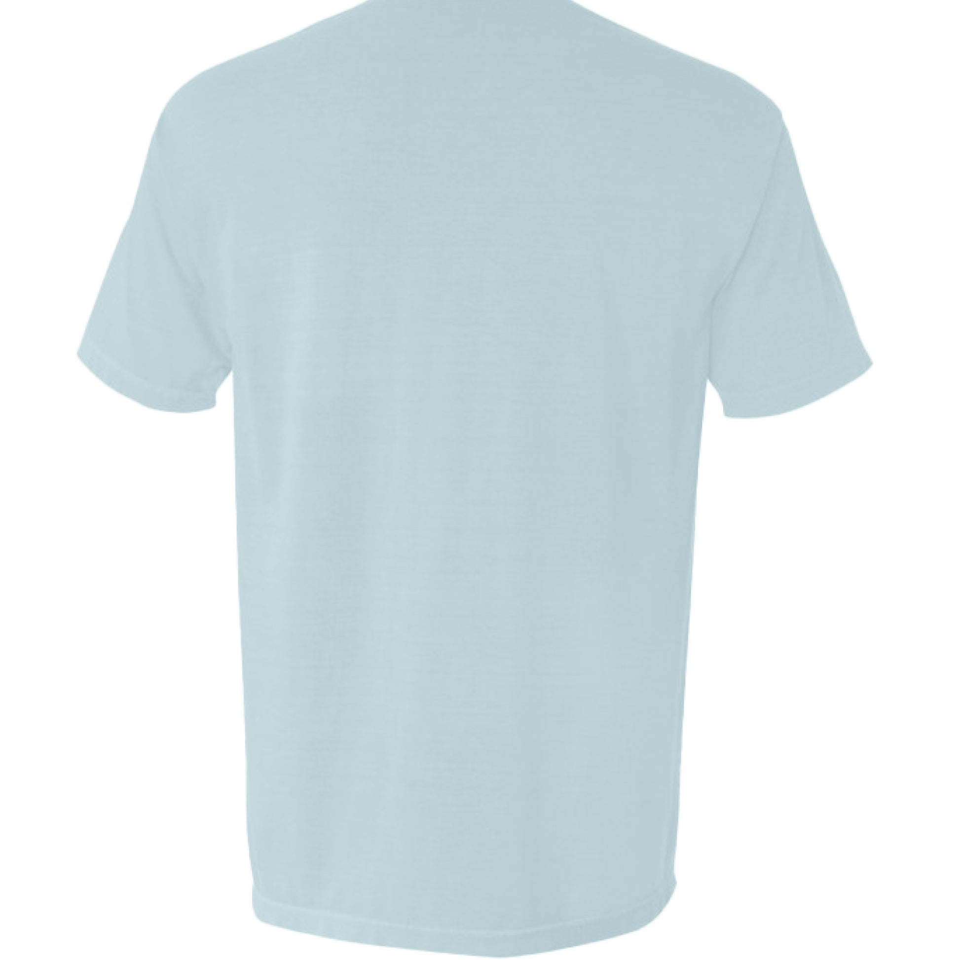 CHAMBRAY - BACK
